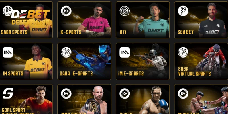 ประเภทกีฬายอดนิยมบน เว็บเดิมพันกีฬา DeBet
